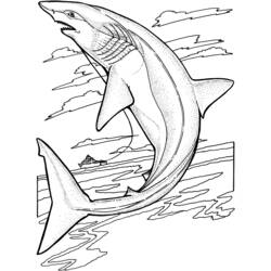 Dibujo para colorear: Animales marinos (Animales) #22073 - Dibujos para Colorear e Imprimir Gratis