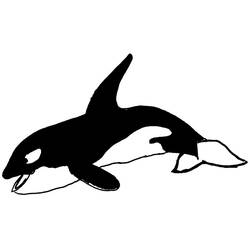 Dibujo para colorear: Animales marinos (Animales) #22084 - Dibujos para Colorear e Imprimir Gratis