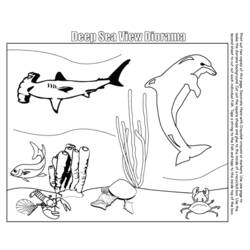 Dibujo para colorear: Animales marinos (Animales) #22086 - Dibujos para Colorear e Imprimir Gratis