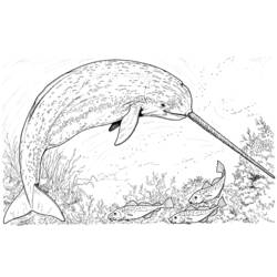 Dibujo para colorear: Animales marinos (Animales) #22104 - Dibujos para Colorear e Imprimir Gratis