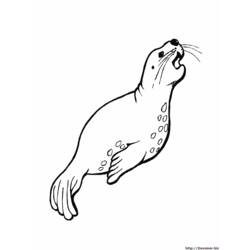 Dibujo para colorear: Animales marinos (Animales) #22145 - Dibujos para Colorear e Imprimir Gratis