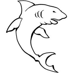 Dibujo para colorear: Animales marinos (Animales) #22170 - Dibujos para Colorear e Imprimir Gratis
