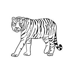Dibujo para colorear: Animales salvajes / de la selva (Animales) #21092 - Dibujos para Colorear e Imprimir Gratis