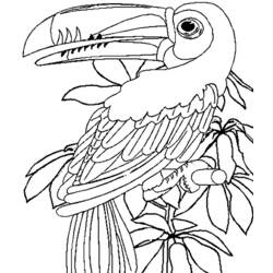 Dibujo para colorear: Animales salvajes / de la selva (Animales) #21094 - Dibujos para Colorear e Imprimir Gratis
