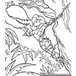 Dibujo para colorear: Animales salvajes / de la selva (Animales) #21110 - Dibujos para Colorear e Imprimir Gratis