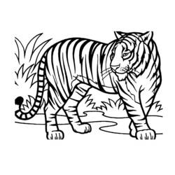 Dibujo para colorear: Animales salvajes / de la selva (Animales) #21114 - Dibujos para Colorear e Imprimir Gratis