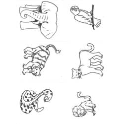 Dibujo para colorear: Animales salvajes / de la selva (Animales) #21115 - Dibujos para Colorear e Imprimir Gratis