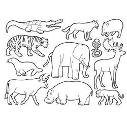 Dibujo para colorear: Animales salvajes / de la selva (Animales) #21120 - Dibujos para Colorear e Imprimir Gratis