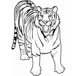 Dibujo para colorear: Animales salvajes / de la selva (Animales) #21130 - Dibujos para Colorear e Imprimir Gratis