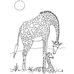 Dibujo para colorear: Animales salvajes / de la selva (Animales) #21138 - Dibujos para Colorear e Imprimir Gratis