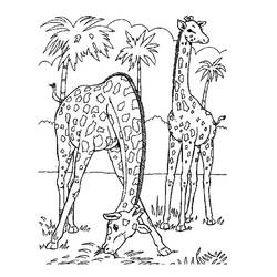 Dibujo para colorear: Animales salvajes / de la selva (Animales) #21144 - Dibujos para Colorear e Imprimir Gratis