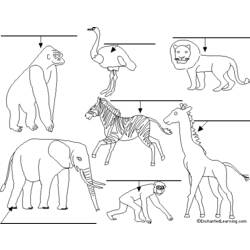 Dibujo para colorear: Animales salvajes / de la selva (Animales) #21154 - Dibujos para Colorear e Imprimir Gratis