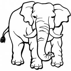 Dibujo para colorear: Animales salvajes / de la selva (Animales) #21155 - Dibujos para Colorear e Imprimir Gratis