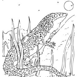 Dibujo para colorear: Animales salvajes / de la selva (Animales) #21208 - Dibujos para Colorear e Imprimir Gratis