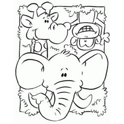 Dibujo para colorear: Animales salvajes / de la selva (Animales) #21216 - Dibujos para Colorear e Imprimir Gratis