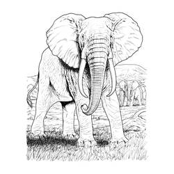 Dibujo para colorear: Animales salvajes / de la selva (Animales) #21239 - Dibujos para Colorear e Imprimir Gratis