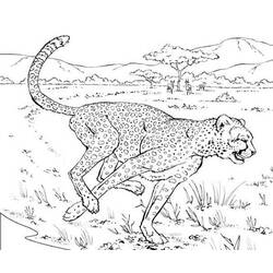 Dibujo para colorear: Animales salvajes / de la selva (Animales) #21251 - Dibujos para Colorear e Imprimir Gratis
