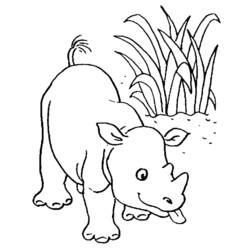 Dibujo para colorear: Animales salvajes / de la selva (Animales) #21270 - Dibujos para Colorear e Imprimir Gratis