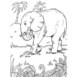 Dibujo para colorear: Animales salvajes / de la selva (Animales) #21274 - Dibujos para Colorear e Imprimir Gratis
