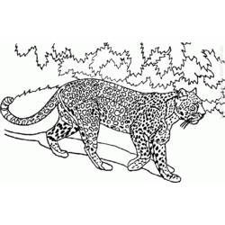 Dibujo para colorear: Animales salvajes / de la selva (Animales) #21277 - Dibujos para Colorear e Imprimir Gratis