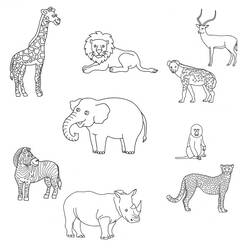 Dibujo para colorear: Animales salvajes / de la selva (Animales) #21287 - Dibujos para Colorear e Imprimir Gratis