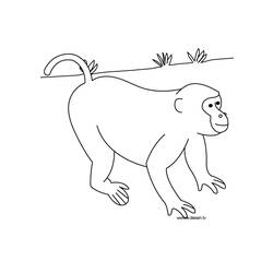 Dibujo para colorear: Animales salvajes / de la selva (Animales) #21359 - Dibujos para Colorear e Imprimir Gratis