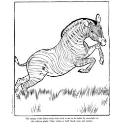 Dibujo para colorear: Antílope (Animales) #22612 - Dibujos para Colorear e Imprimir Gratis