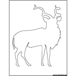 Dibujo para colorear: Antílope (Animales) #22640 - Dibujos para Colorear e Imprimir Gratis