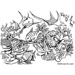Dibujo para colorear: Antílope (Animales) #22657 - Dibujos para Colorear e Imprimir Gratis