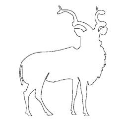 Dibujo para colorear: Antílope (Animales) #22658 - Dibujos para Colorear e Imprimir Gratis