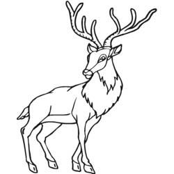 Dibujo para colorear: Antílope (Animales) #22659 - Dibujos para Colorear e Imprimir Gratis