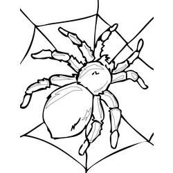 Dibujo para colorear: Araña (Animales) #595 - Dibujos para Colorear e Imprimir Gratis