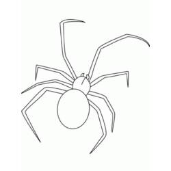 Dibujo para colorear: Araña (Animales) #613 - Dibujos para Colorear e Imprimir Gratis