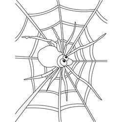 Dibujo para colorear: Araña (Animales) #648 - Dibujos para Colorear e Imprimir Gratis