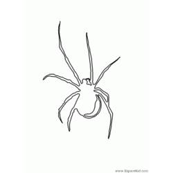 Dibujo para colorear: Araña (Animales) #649 - Dibujos para Colorear e Imprimir Gratis