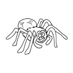 Dibujo para colorear: Araña (Animales) #656 - Dibujos para Colorear e Imprimir Gratis