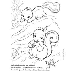 Dibujo para colorear: Ardilla (Animales) #6191 - Dibujos para Colorear e Imprimir Gratis