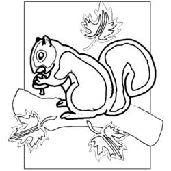 Dibujo para colorear: Ardilla (Animales) #6278 - Dibujos para Colorear e Imprimir Gratis