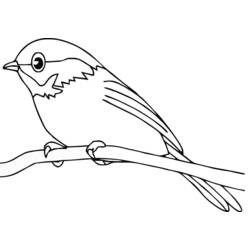 Dibujo para colorear: Aves (Animales) #11840 - Dibujos para Colorear e Imprimir Gratis