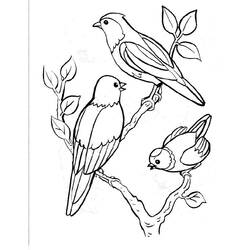 Dibujo para colorear: Aves (Animales) #11841 - Dibujos para Colorear e Imprimir Gratis