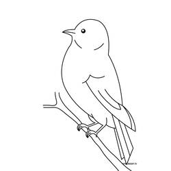 Dibujo para colorear: Aves (Animales) #11844 - Dibujos para Colorear e Imprimir Gratis