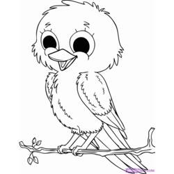 Dibujo para colorear: Aves (Animales) #11849 - Dibujos para Colorear e Imprimir Gratis