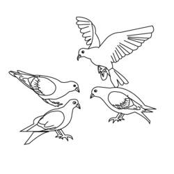 Dibujo para colorear: Aves (Animales) #11856 - Dibujos para Colorear e Imprimir Gratis