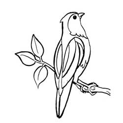 Dibujo para colorear: Aves (Animales) #11893 - Dibujos para Colorear e Imprimir Gratis