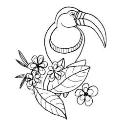 Dibujo para colorear: Aves (Animales) #11897 - Dibujos para Colorear e Imprimir Gratis