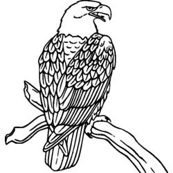 Dibujo para colorear: Aves (Animales) #11901 - Dibujos para Colorear e Imprimir Gratis