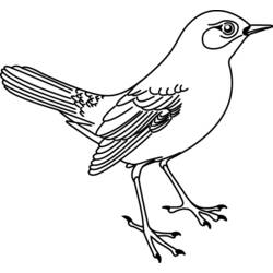 Dibujo para colorear: Aves (Animales) #11913 - Dibujos para Colorear e Imprimir Gratis