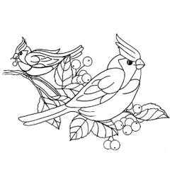 Dibujo para colorear: Aves (Animales) #11926 - Dibujos para Colorear e Imprimir Gratis