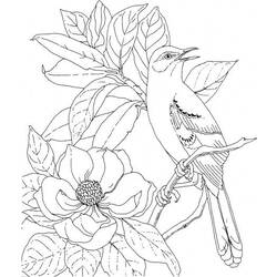 Dibujo para colorear: Aves (Animales) #11943 - Dibujos para Colorear e Imprimir Gratis