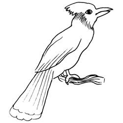 Dibujo para colorear: Aves (Animales) #11947 - Dibujos para Colorear e Imprimir Gratis